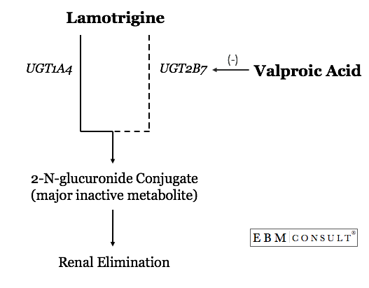 Lamictal Medication Interactions